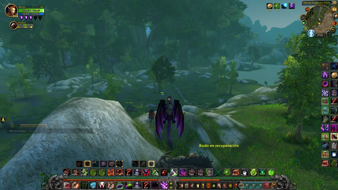 Предоставленный скриншот стандартного интерфейса World of Warcraft